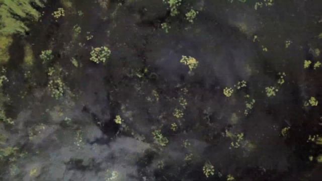 Пруд, кронштадт (видео 1) смотреть онлайн