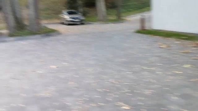 03.10.22. Зеленоградск. Парк у моря. Уточки , чайки, голуби)) смотреть онлайн