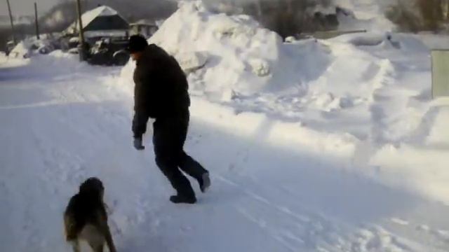 Щенок катает дочу смотреть онлайн