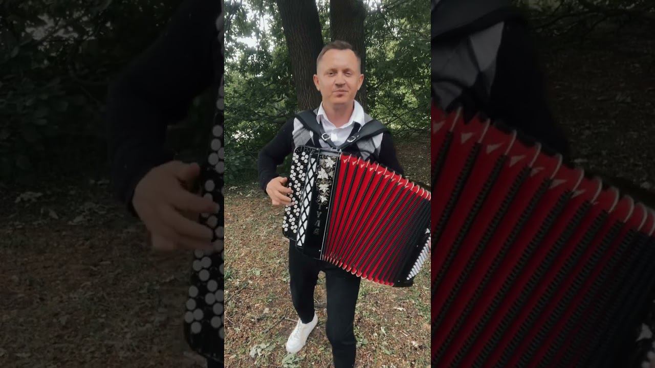 Баян жахнул #баянист #гармонист #каверхит смотреть онлайн