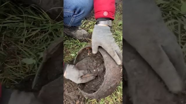 Откопали чугунок в дальнем углу старого огорода, показываю что было внутри смотреть онлайн