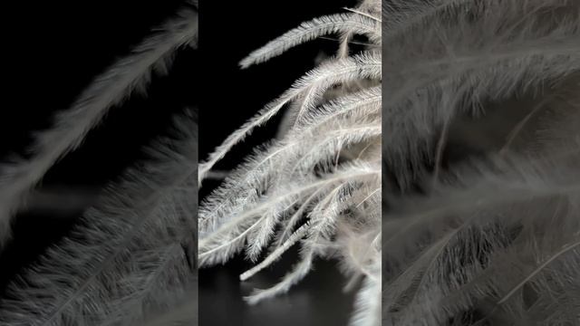 Сумочка "Свобода" от Анны Кадышевой 🤩
Финалист Большого конкурса Greenbird 2024 🌟 смотреть онлайн