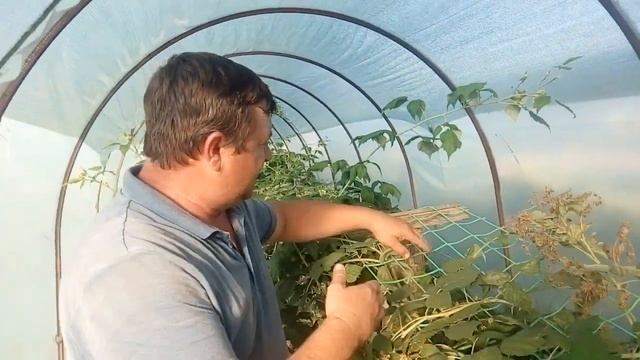 Малина Химбо Топ: осенью в балагане смотреть онлайн