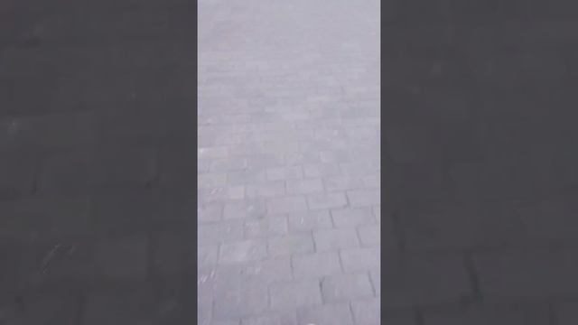 Первый влог на канале в центре Владимира смотреть онлайн