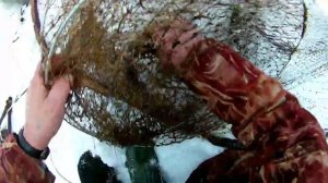 зимняя рыбалка на Вычегде витилями.