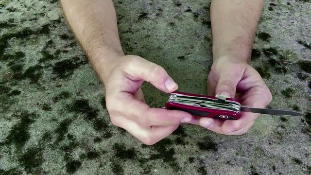 Victorinox 2.3913.SCUS2 Evolution grip S17. Обзор и мнение. Мой самый любимый Викс! смотреть онлайн