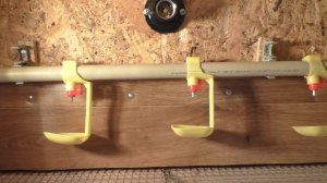 Брудер На 160 ЦЫПЛЯТ Своими Руками. Птица моего двора.