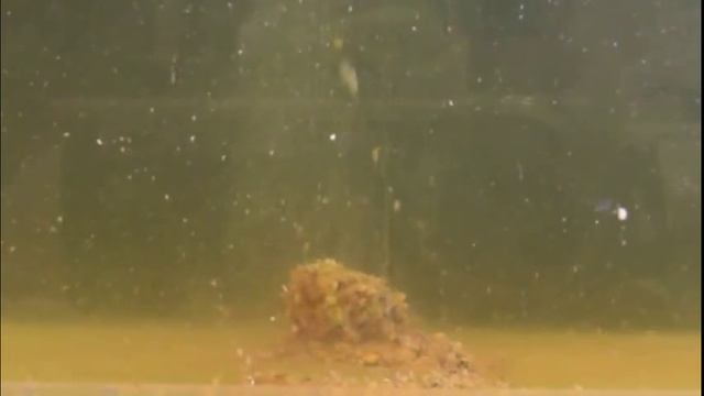 Зимняя прикормка с активным кислородом смотреть онлайн