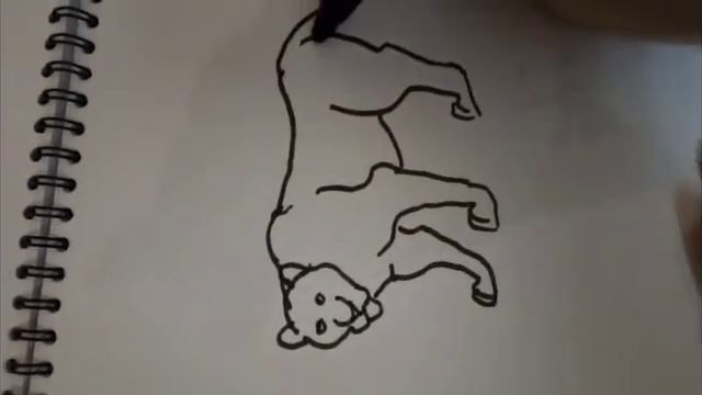 Как нарисовать тигра смотреть онлайн