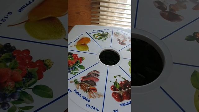 Обзор на электросушилка бытовая Ротор Дива плюс смотреть онлайн