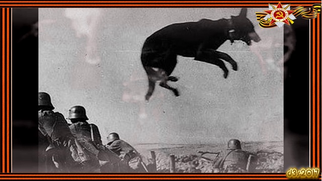 3.03.Елена Хайленко.Бой под Легедзино. 1280х720p 320 kbps смотреть онлайн