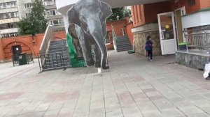 ВЛОГ 🦊🦁🐵 ЕКАТЕРИНБУРГСКИЙ 🐘🦜 ЗООПАРК