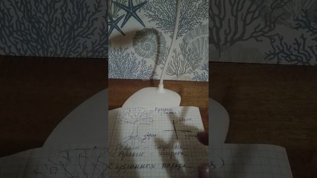 О древе человечества. смотреть онлайн