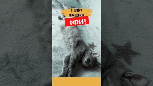Прикольное видео с днем рождения, меня | SunPikRu смотреть онлайн