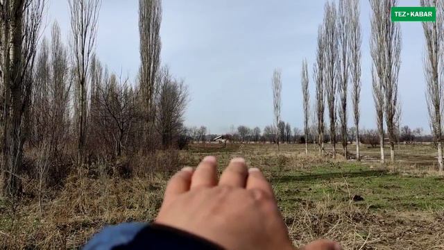 15 соток ЖЕРДИ өтө шашылыш САТАБЫЗ | Суу менен Свет бар смотреть онлайн