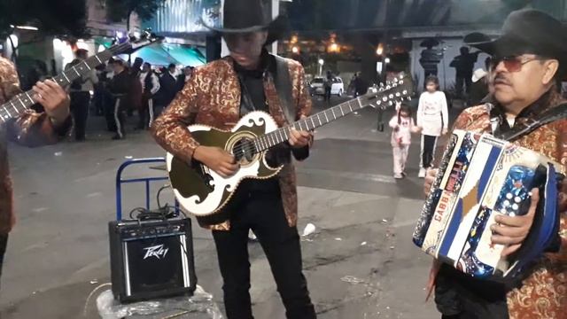 Banda Norteña Garibaldi 😄 смотреть онлайн