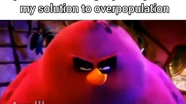 Angry Birds Terence staring meme (overpopulation) смотреть онлайн
