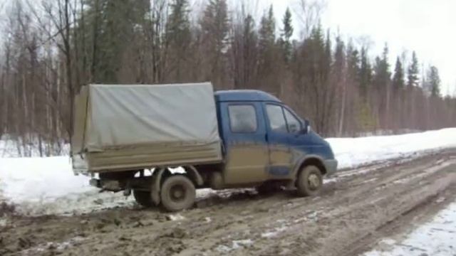 Томск-Кедровый 2008