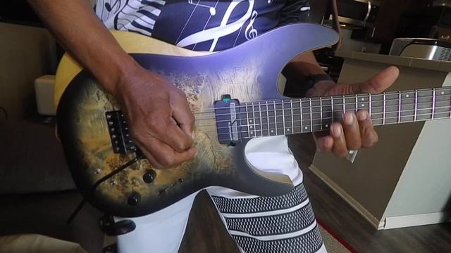 My New Schecter Reaper C1 FR/S смотреть онлайн