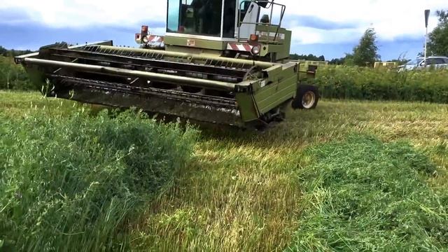 Шошинский комбайн Е-304 в работе. Часть-1 смотреть онлайн