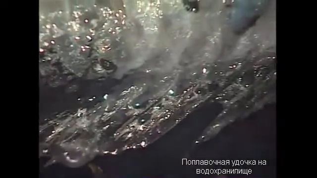 Кухня - сазан на гриле смотреть онлайн