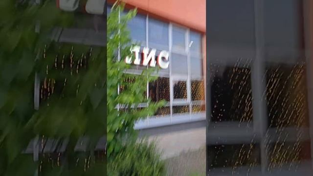 Хмель и лис названия магазина ? смотреть онлайн