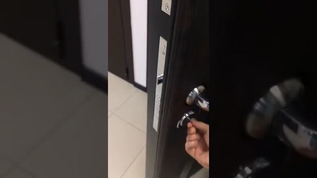 Входная стальная дверь Снедо Премьер Тиковое дерево \ Цвет Эш вайт смотреть онлайн