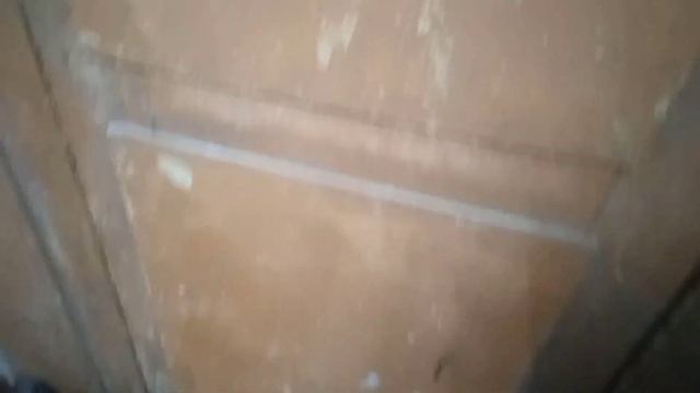 Обзор помещения для содержания перепелов | ЖИЗНЬ ПЕРЕПЁЛОК В ГАРАЖЕ ??? смотреть онлайн