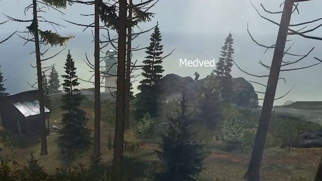 DayZ - День 1.5 смотреть онлайн
