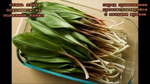 ★ Листья ЧЕРЕМШИ полезны не всем. Вот в каких случаях стоит употреблять медвежий лук весной.