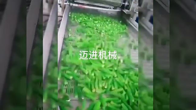 Okra washer machine,air bubble washing machine for leafy and root vegetables,fruits,high pressure. смотреть онлайн