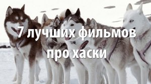 7 лучших фильмов про Хаски