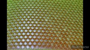 Виды силиконовых матриц для изготовления вощины в домашних условиях....