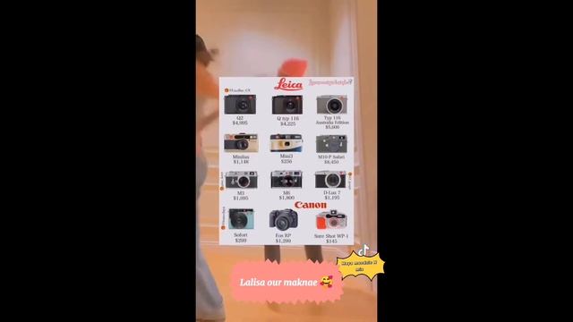 Lisa's Camera Collections.mp4 смотреть онлайн