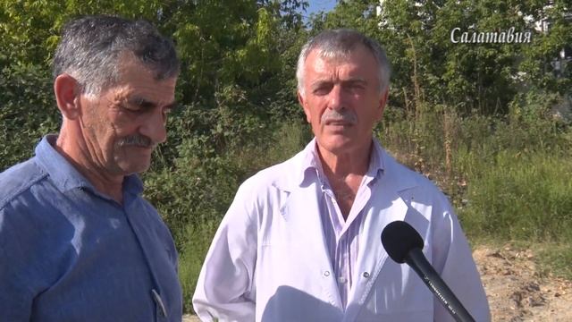 АМБРОЗИЯ-опасная пора цветения смотреть онлайн