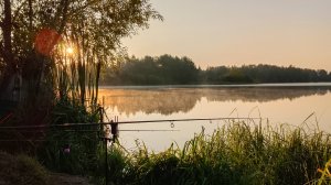 Рыбалка на карася в августе на донки.