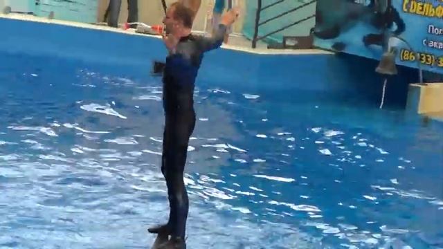 Анапа Танцы с дельфинами Видио Федянинай Нины смотреть онлайн