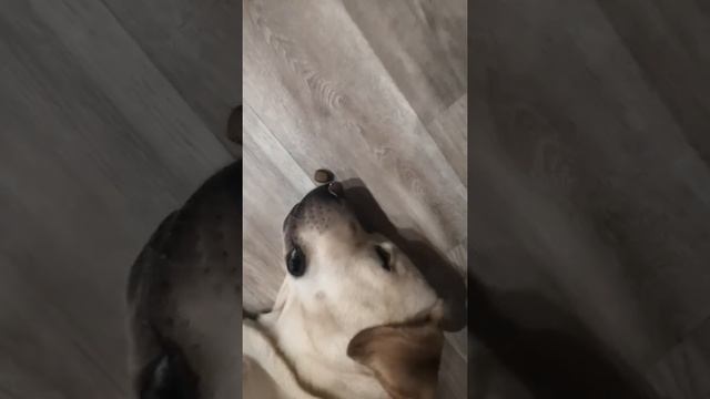 Вот он крепкий сон