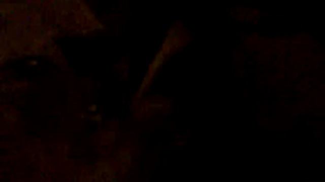 Дымчатая кошечка смотреть онлайн