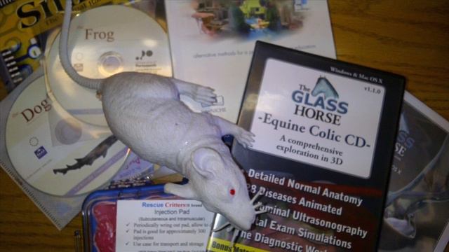 Introducing the NSPCA смотреть онлайн