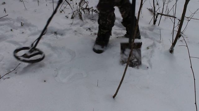 Я ВЕРНУЛСЯ ЗА ШИКАРНЫМИ МОНЕТАМИ И БОЯРСКОЙ ПУГОЙ В ЗИМНИЙ ЛЕС С СОБАКАМИ !!! КОП С МЕТАЛЛОИСКАТЕЛЕ смотреть онлайн