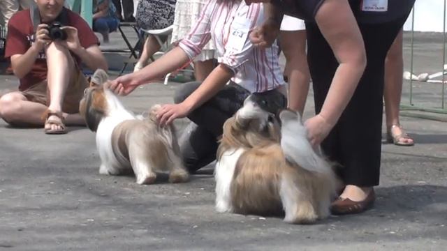 20120505125242.mpg смотреть онлайн