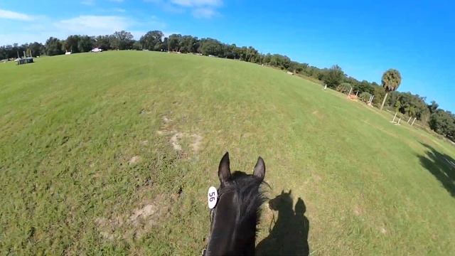 Helmet Cam: Simply Priceless (Open Intermediate | 2020 Rocking Horse Fall HT) смотреть онлайн