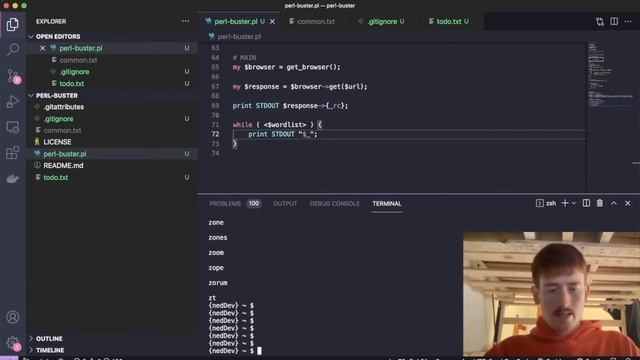 How to build a basic directory enumeration tool in perl // perl-buster смотреть онлайн