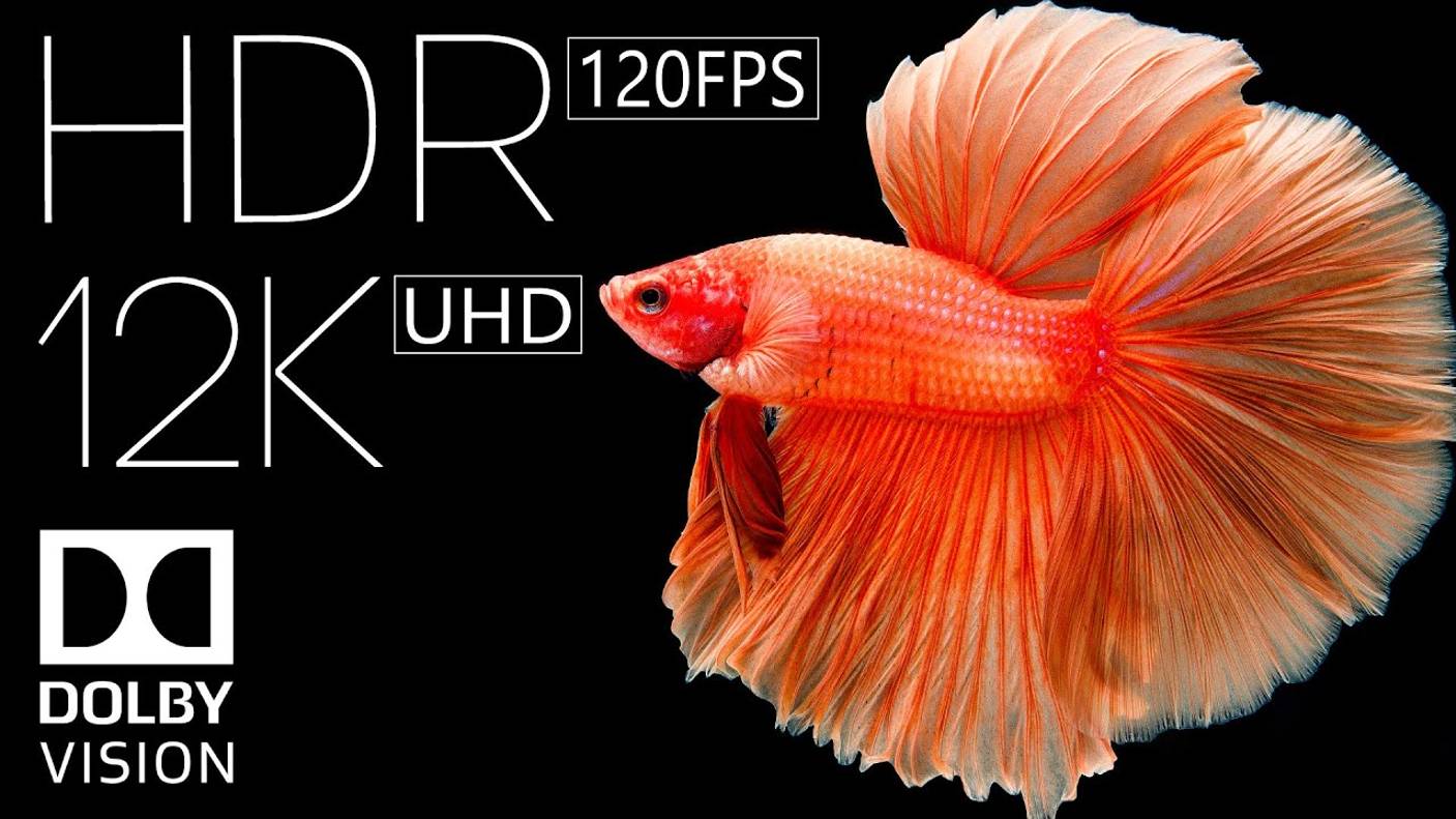 НАСТОЯЩИЙ КИНЕМАТОГРАФ - 12K HDR 60FPS DOLBY VISION