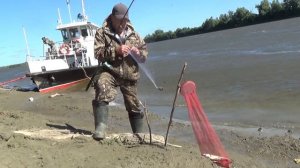 Судак на китайскую сетку с кормушкой