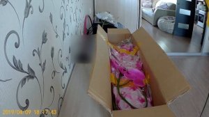 Цветы из латекса, как настоящие! Декоративная прелесть!!!