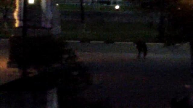 Вечерний Благовещенск. Вид с дома Зейская 222 смотреть онлайн