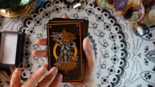 WILD MYSTIC ORACLE - Deck Review - Tap into the ancient wisdom of the animal kingdom! смотреть онлайн