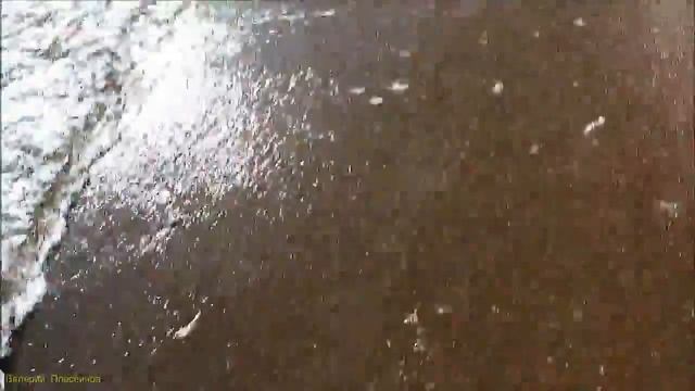 Новый Свет Игорь Дудин .mp4